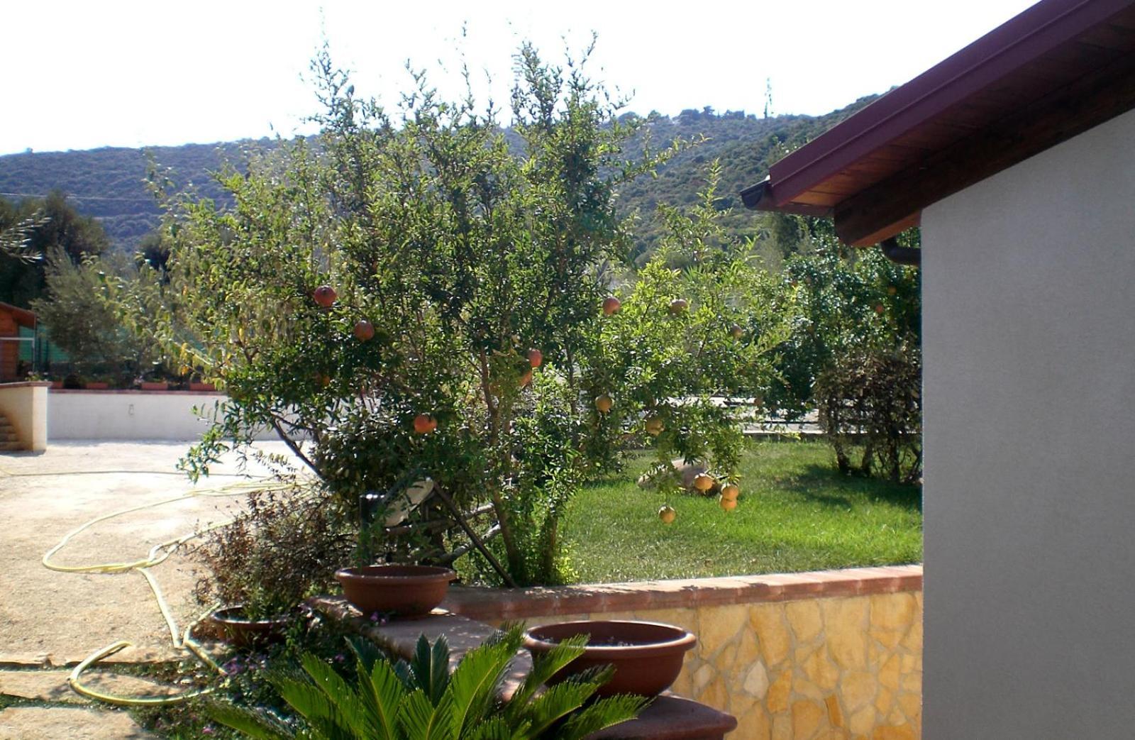 Bed And Breakfast La Casetta Монополи Экстерьер фото