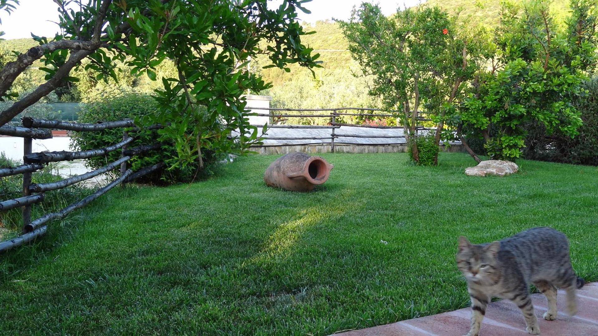 Bed And Breakfast La Casetta Монополи Экстерьер фото